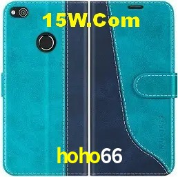Integração de APIs hoho66